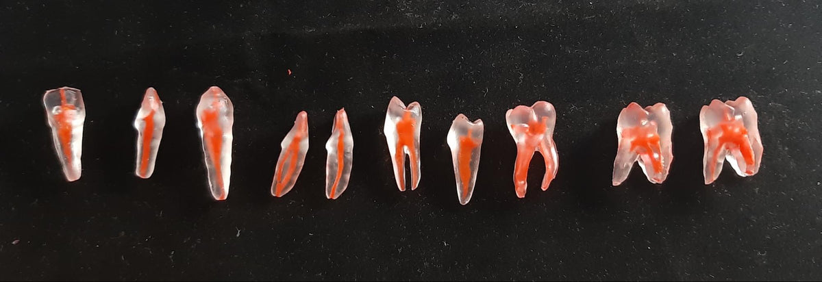 Pandemide Evden Endodonti Eğitimi: 3D Baskılı Diş Modelleri