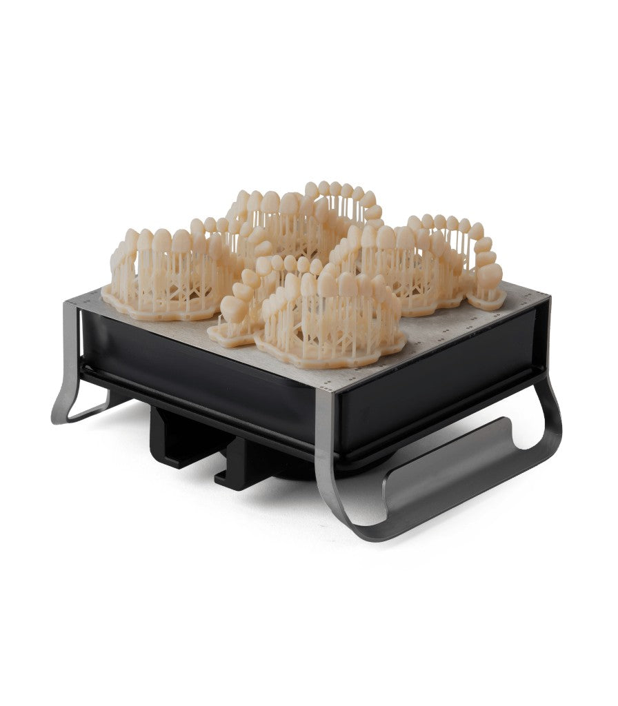 Formlabs Premium Teeth HT Reçine - Form 4