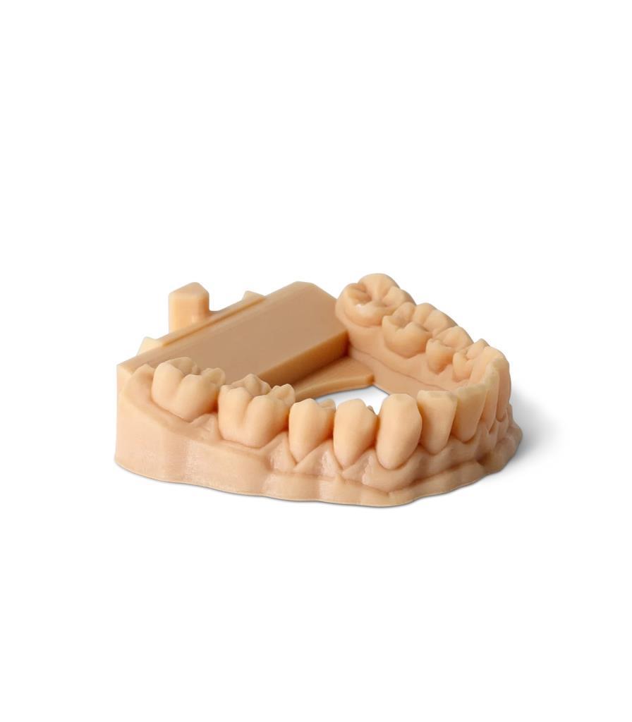 Phrozen Water-Washable Dental Model Reçinesi - Bej 1 Kg