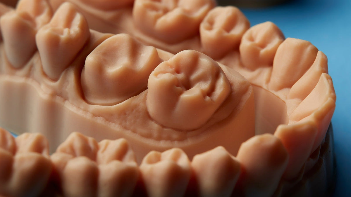 PreForm 3.8.0: Form 3B'de Dental Modeller İçin Yazılımla Gelen Hız
